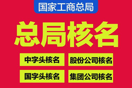 无地域公司注册条件