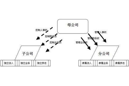 成立子公司