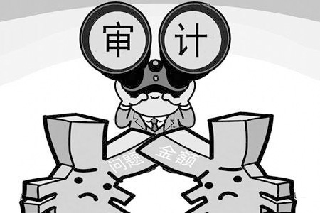 财务审计报告