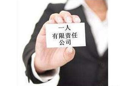 注册一人有限责任公司