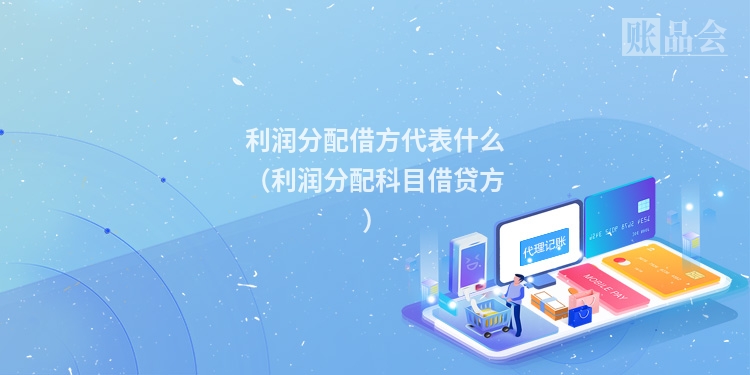 利润分配借方代表什么（利润分配科目借贷方）
