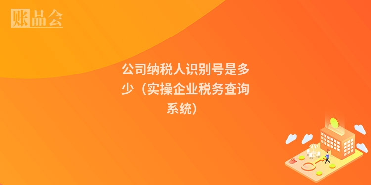 公司纳税人识别号是多少（实操企业税务查询系统）
