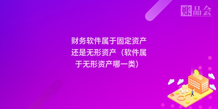 财务软件属于固定资产还是无形资产（软件属于无形资产哪一类）