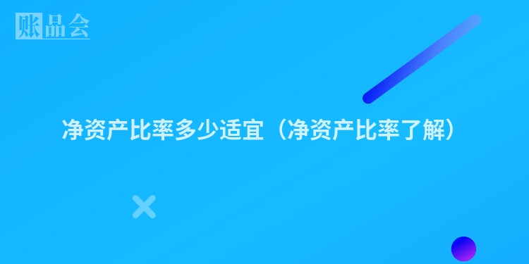 净资产比率多少适宜（净资产比率了解）