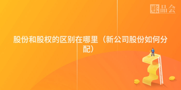 股份和股权的区别在哪里（新公司股份如何分配）