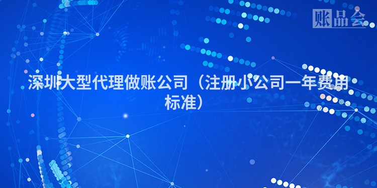深圳大型代理做账公司（注册小公司一年费用标准）