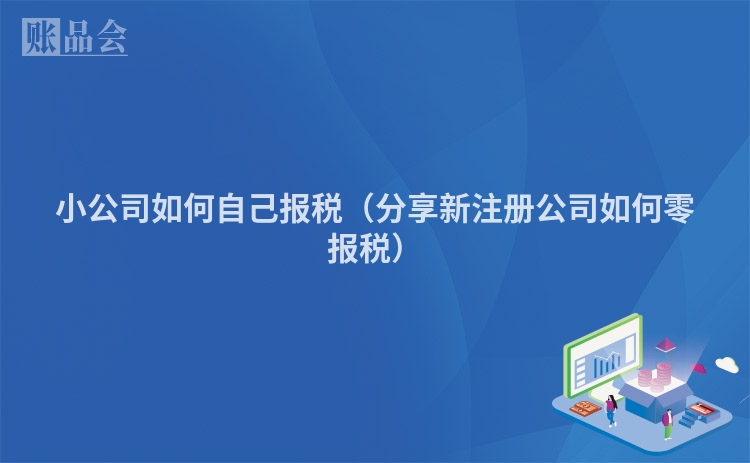 小公司如何自己报税（分享新注册公司如何零报税）
