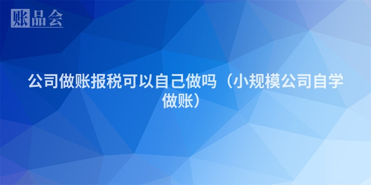 公司做账报税可以自己做吗（小规模公司自学做账）