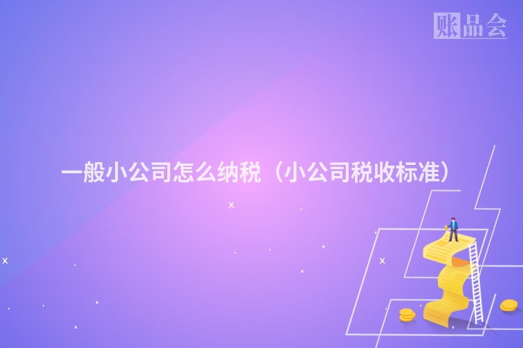 一般小公司怎么纳税（小公司税收标准）