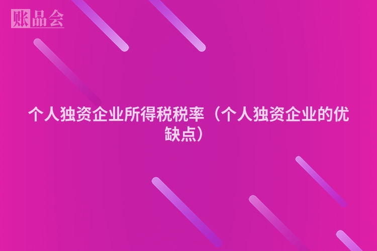 个人独资企业所得税税率（个人独资企业的优缺点）