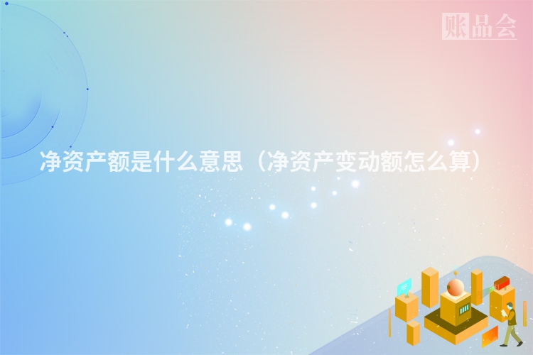 净资产额是什么意思（净资产变动额怎么算）