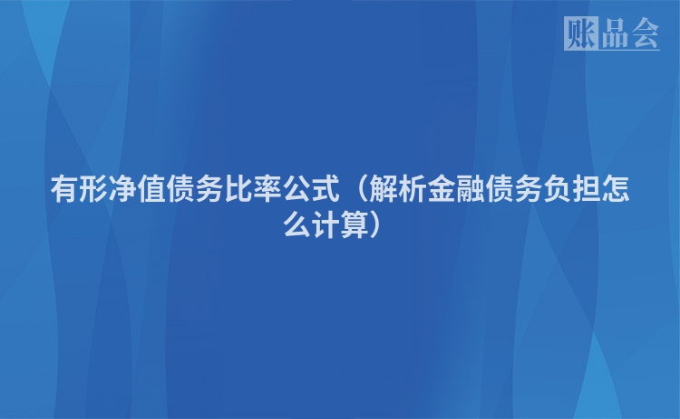有形净值债务比率公式(解析金融债务负担怎么计算)