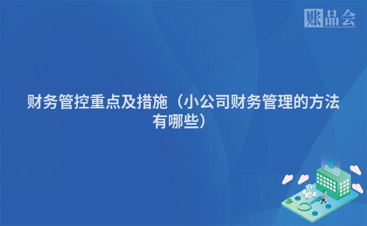 财务管控重点及措施（小公司财务管理的方法有哪些）