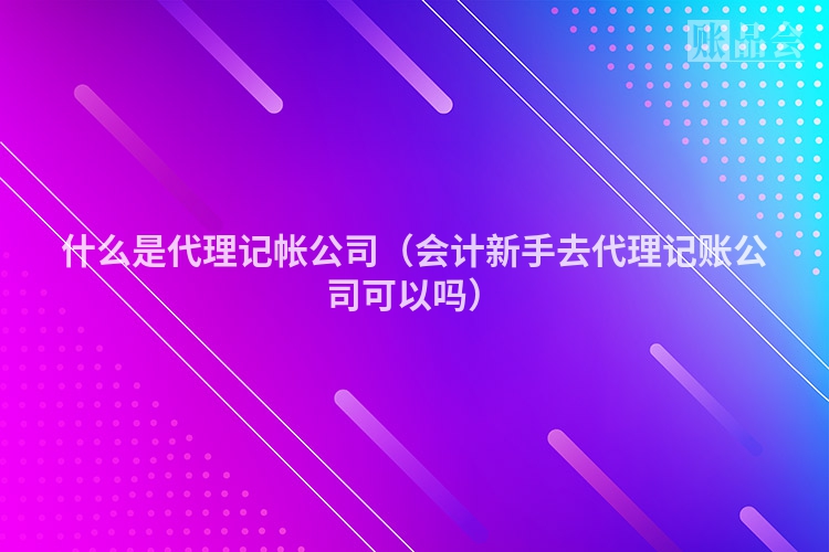 什么是代理记帐公司（会计新手去代理记账公司可以吗）