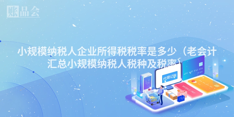 小规模纳税人企业所得税税率是多少（老会计汇总小规模纳税人税种及税率）