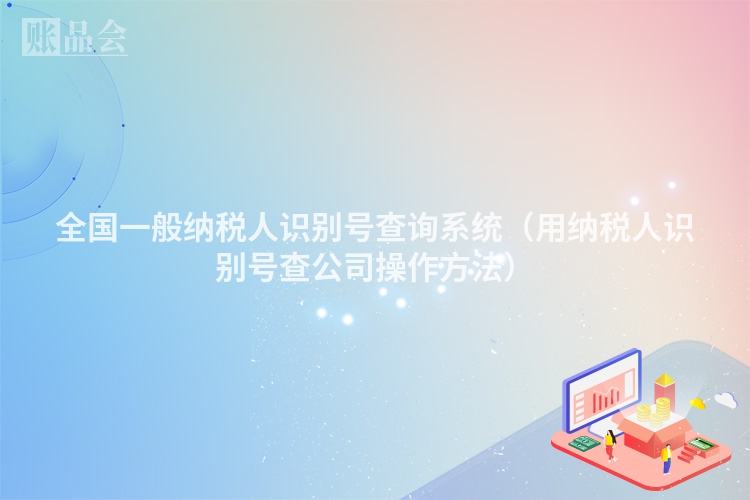 全国一般纳税人识别号查询系统（用纳税人识别号查公司操作方法）