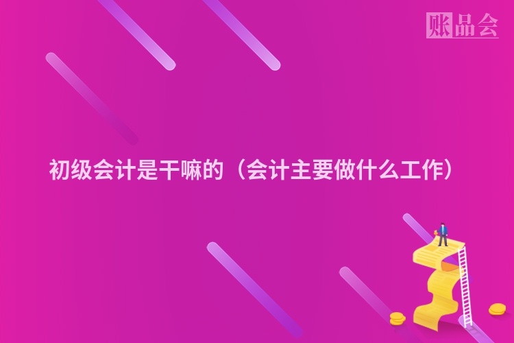 初级会计是干嘛的（会计主要做什么工作）