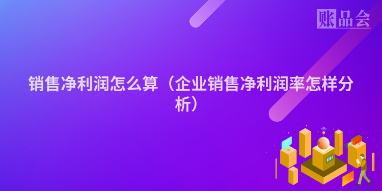 销售净利润怎么算（企业销售净利润率怎样分析）
