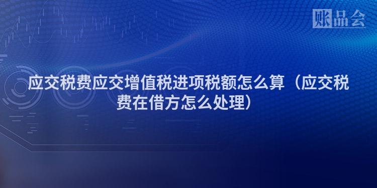 应交税费应交增值税进项税额怎么算（应交税费在借方怎么处理）
