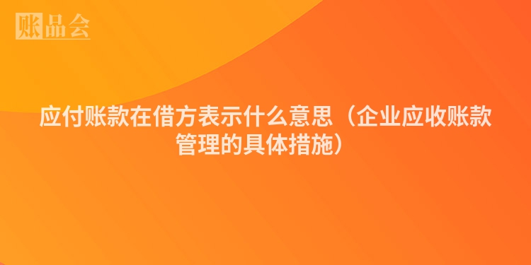 应付账款在借方表示什么意思（企业应收账款管理的具体措施）