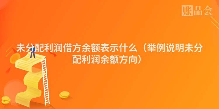 未分配利润借方余额表示什么（举例说明未分配利润余额方向）