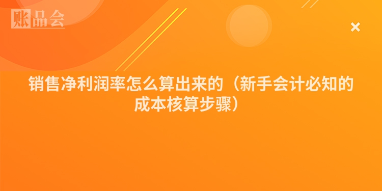 销售净利润率怎么算出来的（新手会计必知的成本核算步骤）