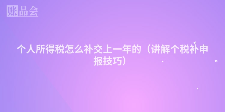 个人所得税怎么补交上一年的(讲解个税补申报技巧)