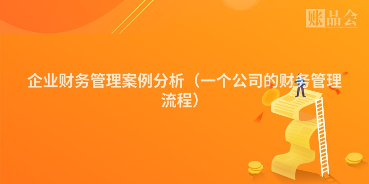 企业财务管理案例分析（一个公司的财务管理流程）