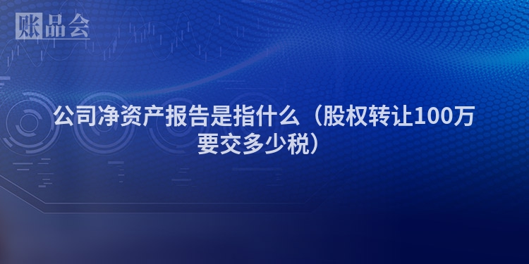 公司净资产报告是指什么（股权转让100万要交多少税）