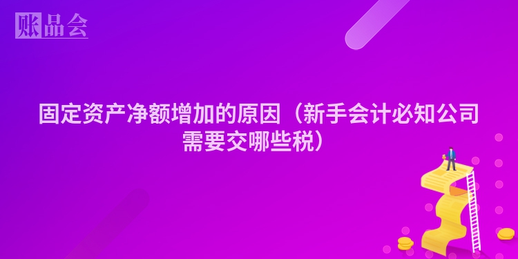 固定资产净额增加的原因（新手会计必知公司需要交哪些税）