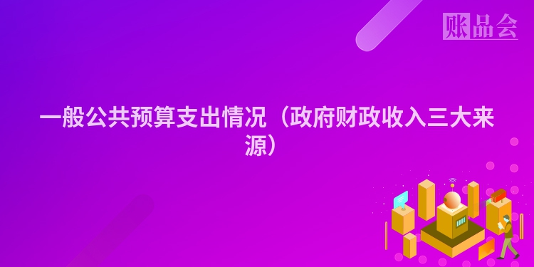 一般公共预算支出情况（政府财政收入三大来源）
