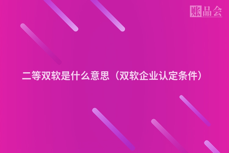 二等双软是什么意思（双软企业认定条件）