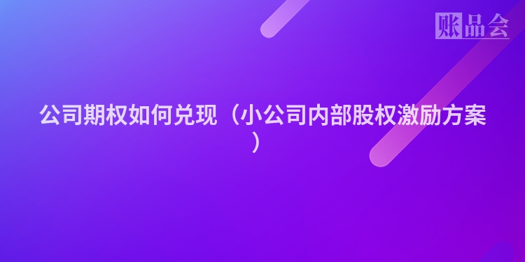 公司期权如何兑现（小公司内部股权激励方案）