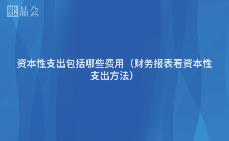 资本性支出包括哪些费用（财务报表看资本性支出方法）