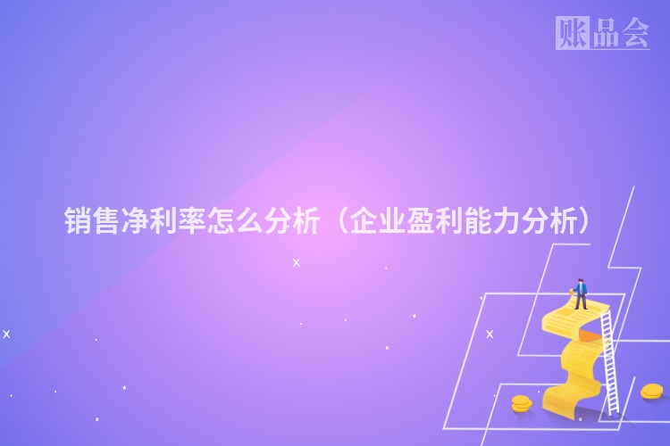 销售净利率怎么分析（企业盈利能力分析）