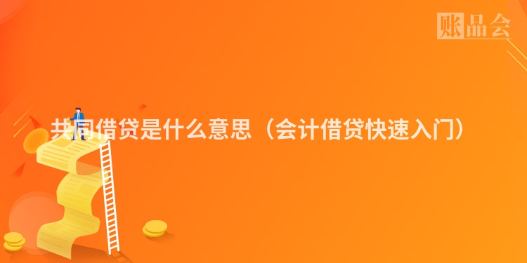 共同借贷是什么意思（会计借贷快速入门）