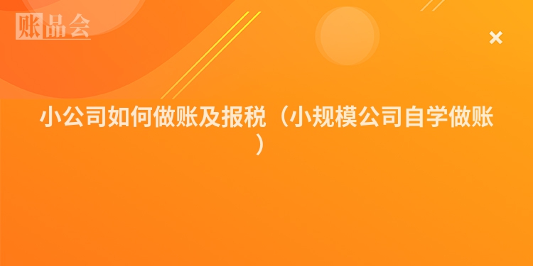 小公司如何做账及报税（小规模公司自学做账）