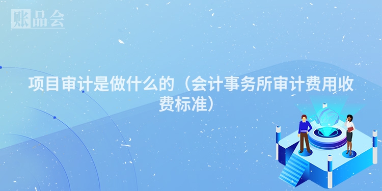项目审计是做什么的（会计事务所审计费用收费标准）