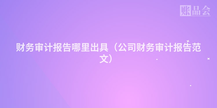财务审计报告哪里出具（公司财务审计报告范文）