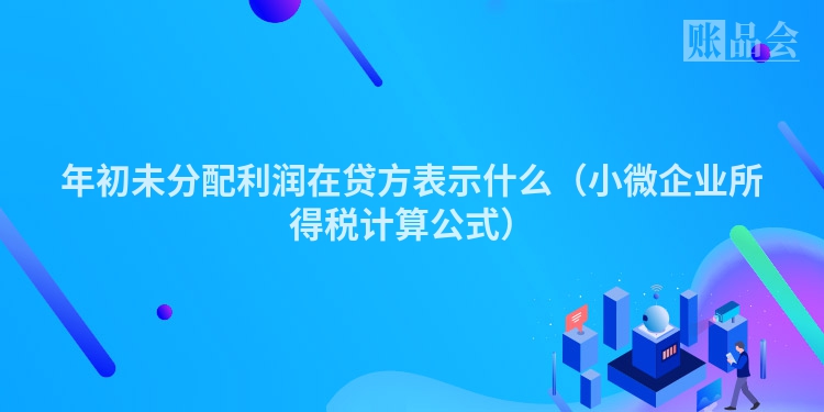 年初未分配利润在贷方表示什么（小微企业所得税计算公式）