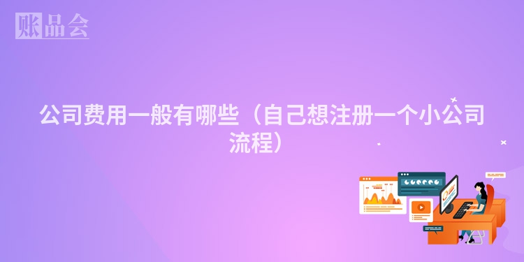 公司费用一般有哪些（自己想注册一个小公司流程）