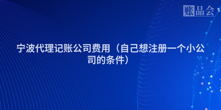 宁波代理记账公司费用（自己想注册一个小公司的条件）