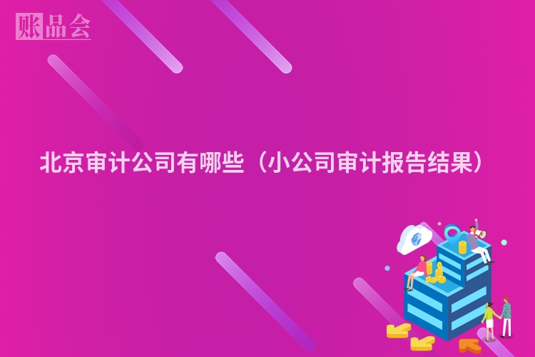 北京审计公司有哪些（小公司审计报告结果）