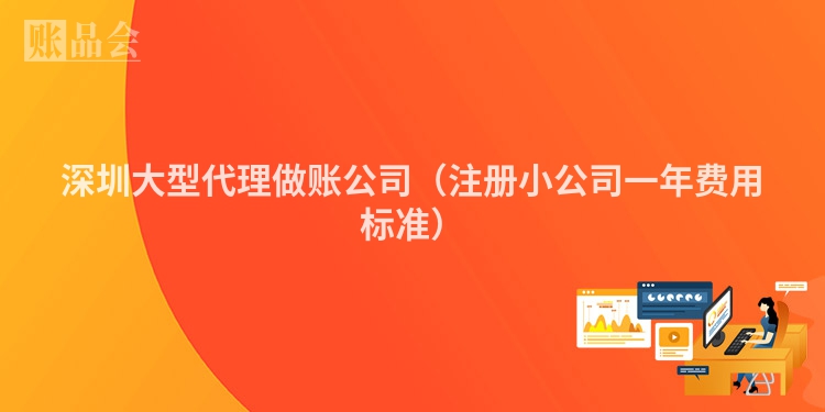 深圳大型代理做账公司（注册小公司一年费用标准）