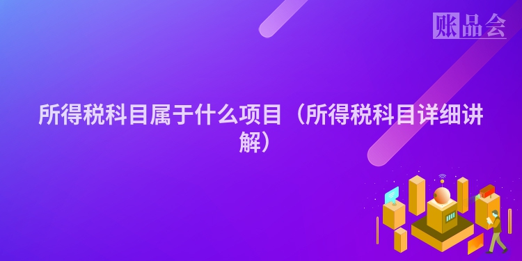 所得税科目属于什么项目（所得税科目详细讲解）