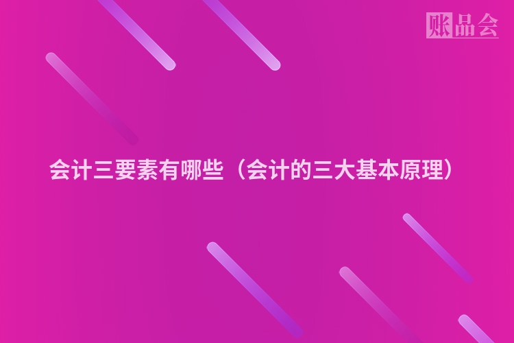 会计三要素有哪些（会计的三大基本原理）
