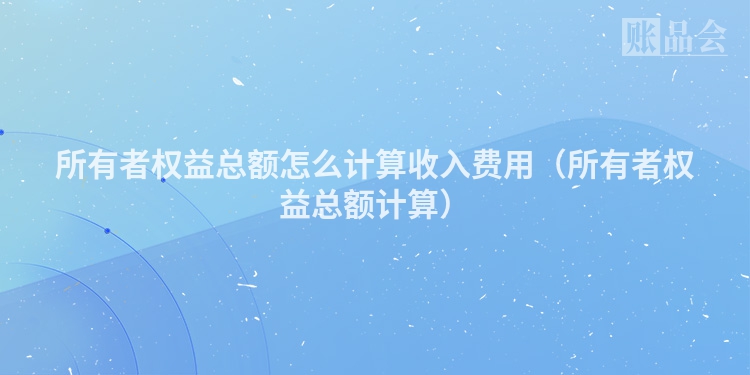 所有者权益总额怎么计算收入费用（所有者权益总额计算）