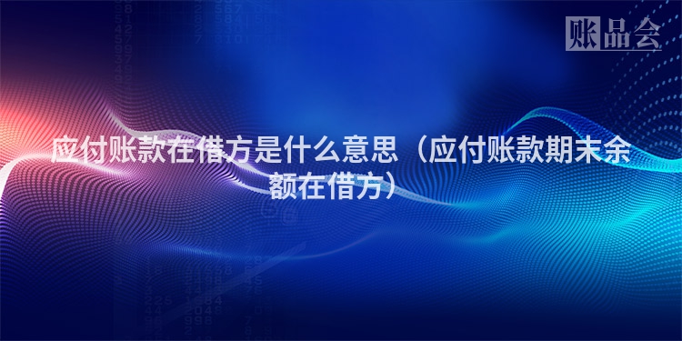应付账款在借方是什么意思（应付账款期末余额在借方）
