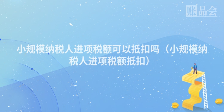 小规模纳税人进项税额可以抵扣吗（小规模纳税人进项税额抵扣）