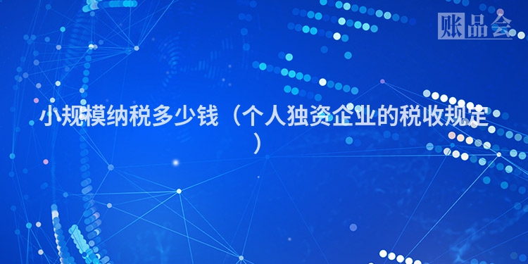 小规模纳税多少钱（个人独资企业的税收规定）